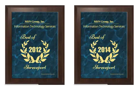 IT Tech Force (MSN Group) wins two Best in Business awards for top-tier IT network services